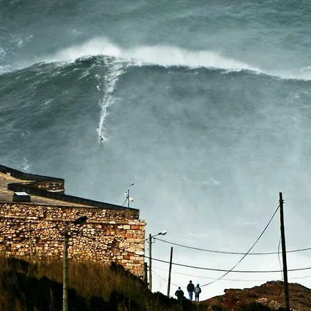 民宿 Vivenda Godinho *